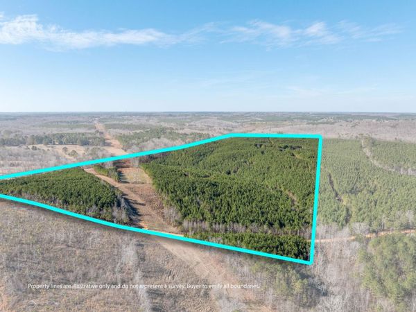 0 Co Rd 32, Hodges, AL