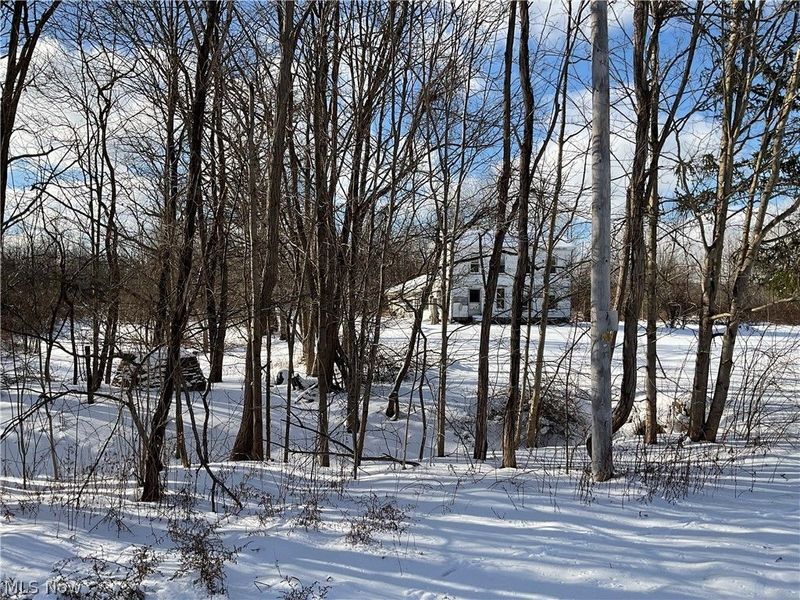 4165 Wheeler Creek Road, Geneva, OH 44041 Photo 3