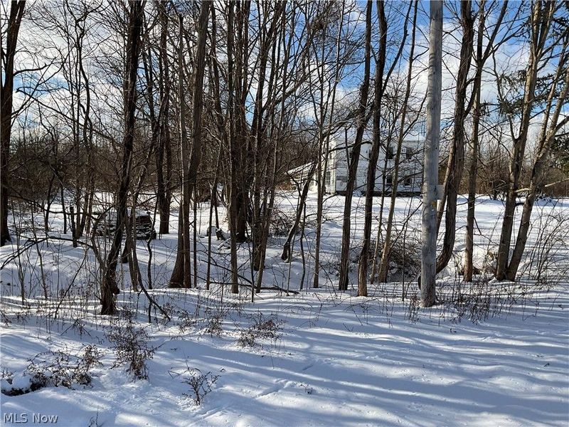 4165 Wheeler Creek Road, Geneva, OH 44041 Photo 7