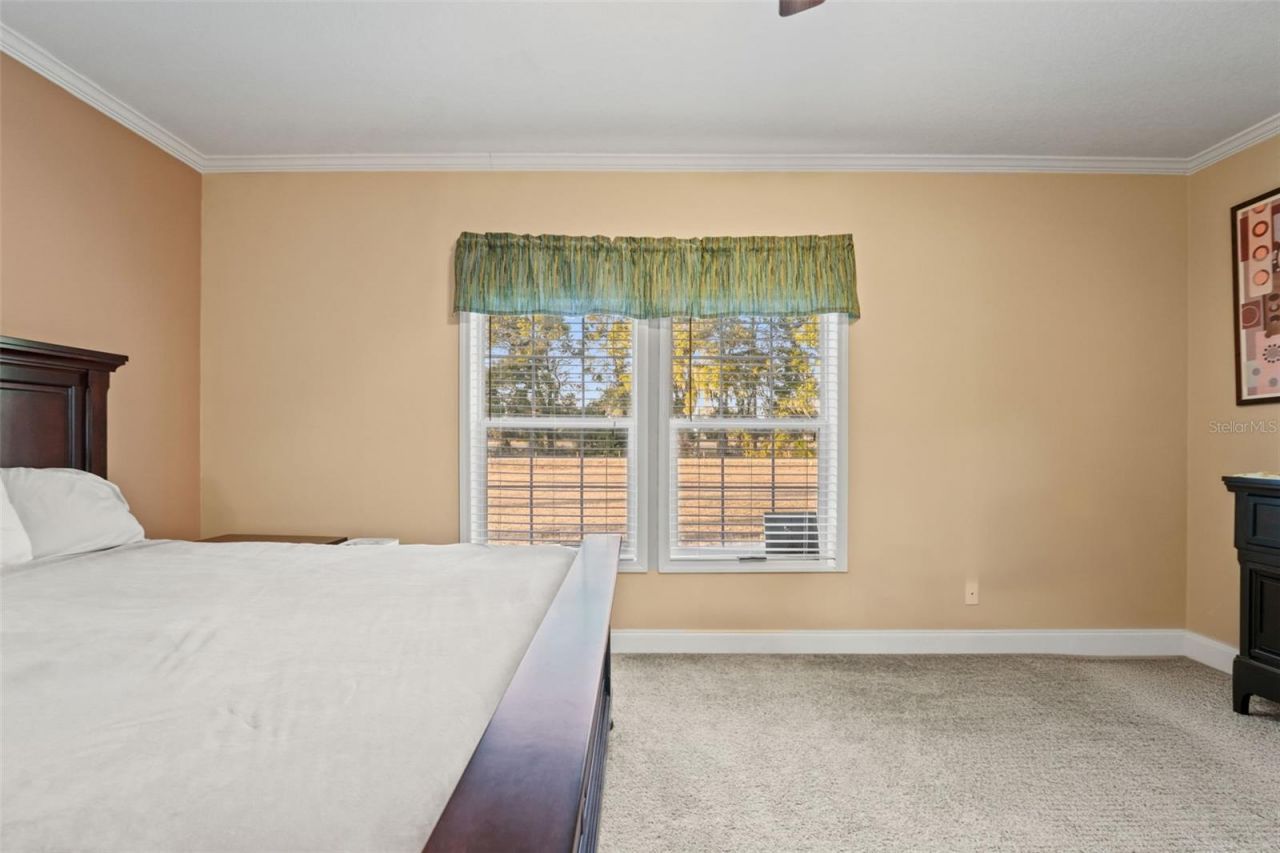 2621 C 478a, Webster, FL 33597 Photo