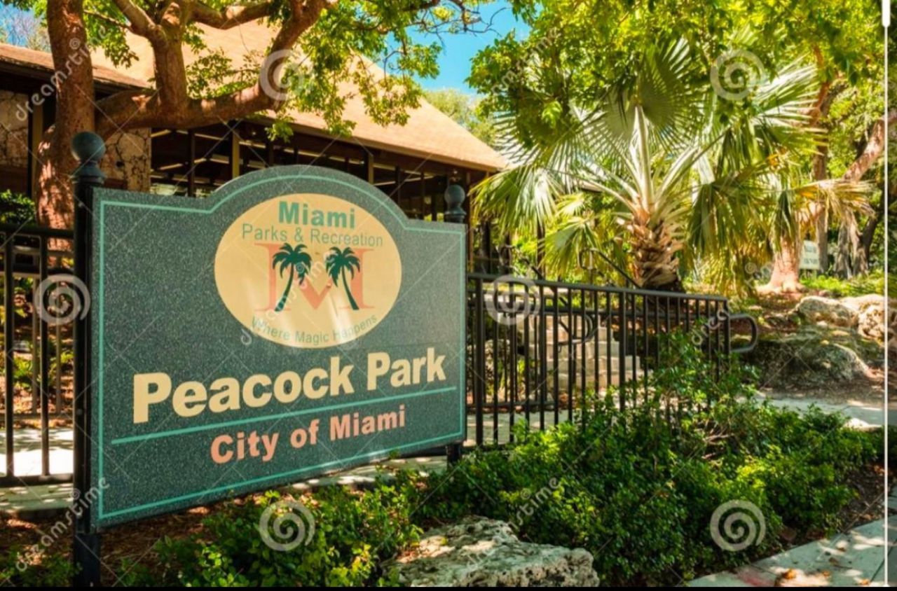 3037 Elizabeth Street, Unit 3037, Miami, FL 33133 Photo