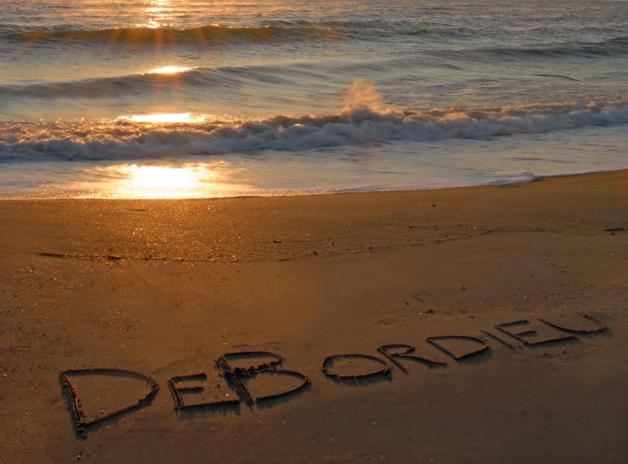 703 Collins Meadow Dr. Photo 46