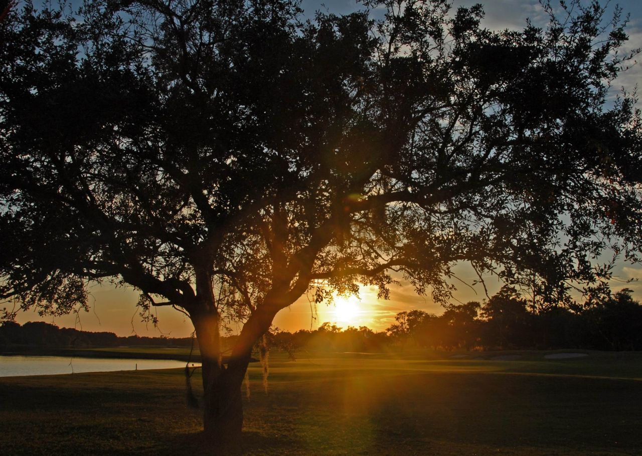 703 Collins Meadow Dr. Photo 47