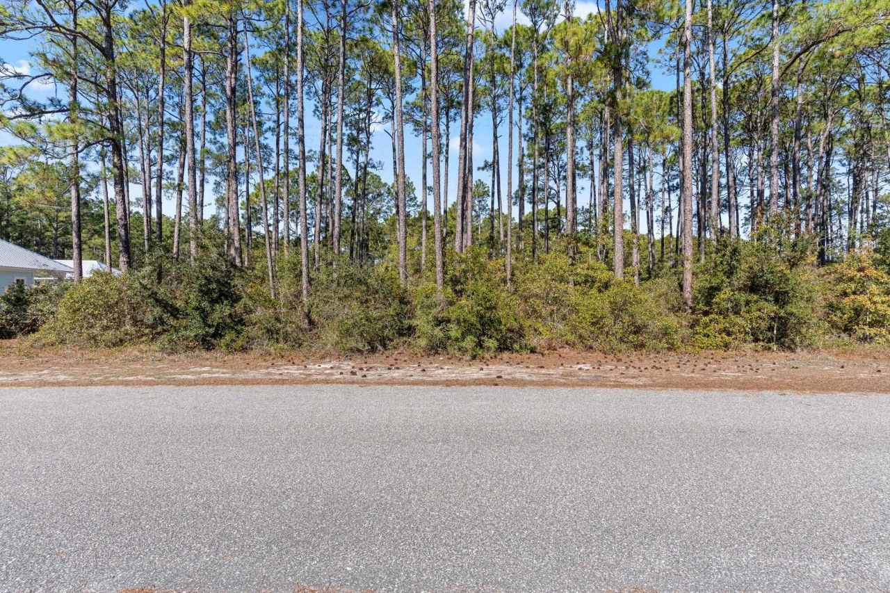 3465 Firefly Circle, Saint Teresa, FL 32358 Photo