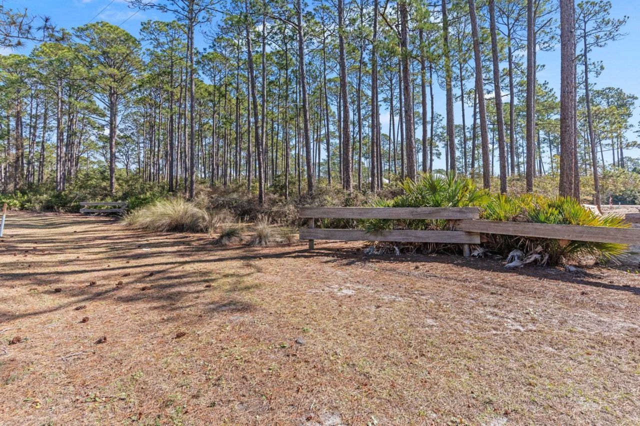 3465 Firefly Circle, Saint Teresa, FL 32358 Photo