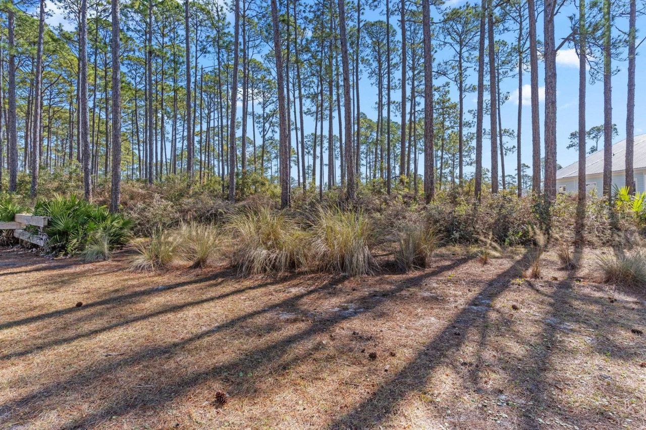 3465 Firefly Circle, Saint Teresa, FL 32358 Photo