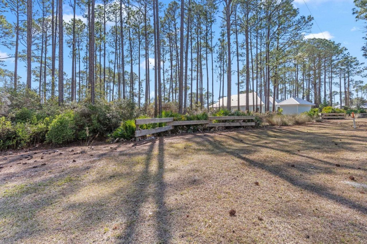 3465 Firefly Circle, Saint Teresa, FL 32358 Photo