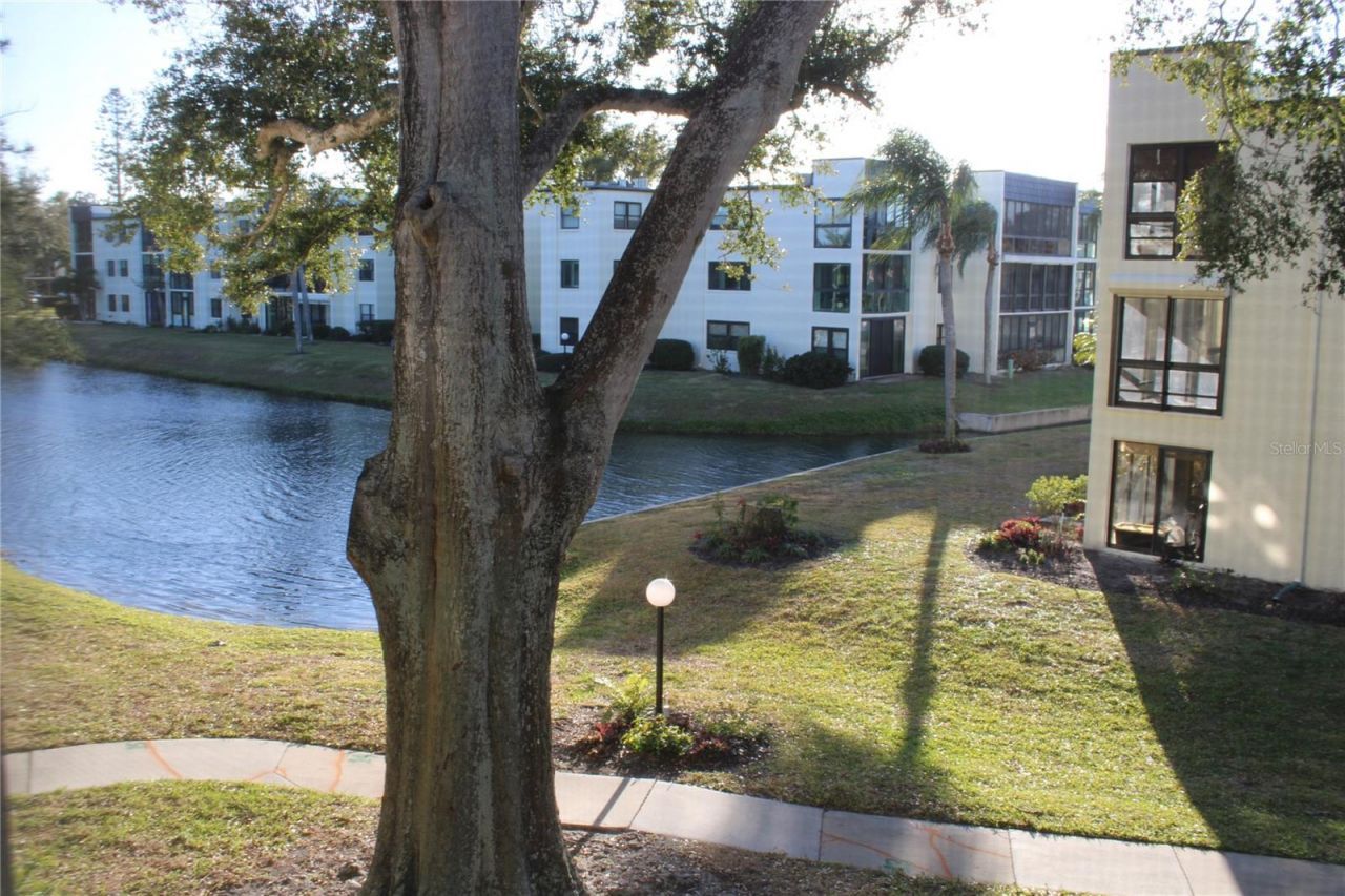 14130 Rosemary Lane, Unit 3203, Largo, FL 33774 Main Photo