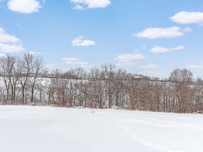 2508 Brooksville Powersville rd Road, Brooksville, KY 41004 Photo 16