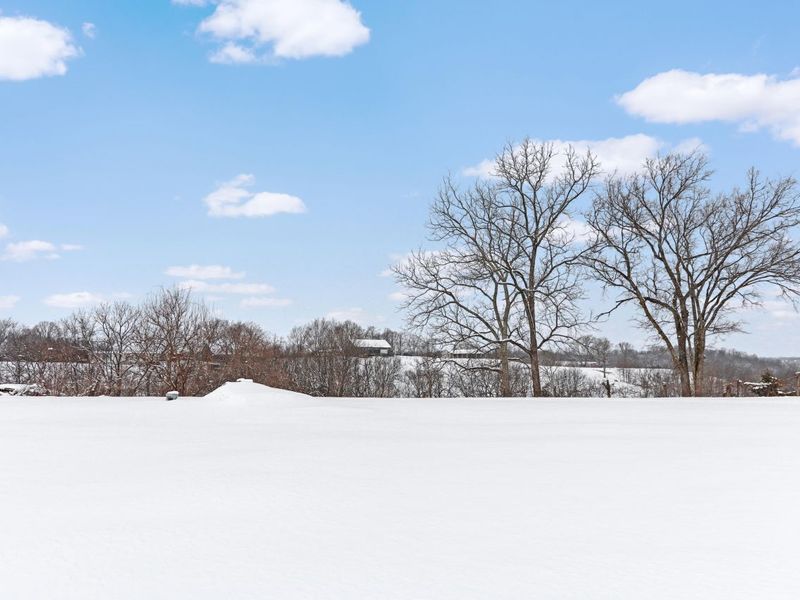 2508 Brooksville Powersville rd Road, Brooksville, KY 41004 Photo 18