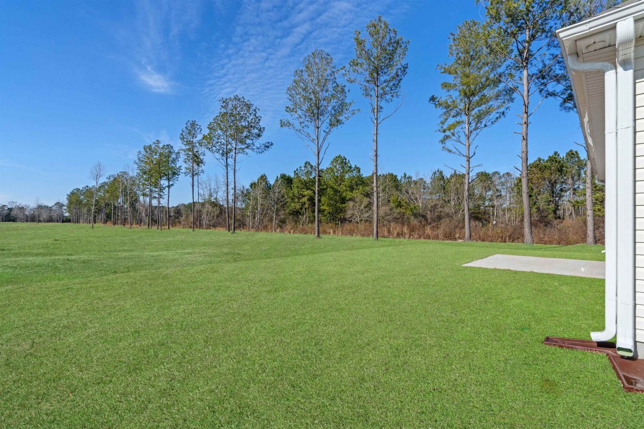 4138 Highway 554 Photo 30