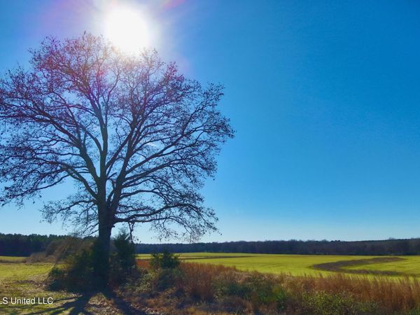 Newport Road, Lexington, MS 39095