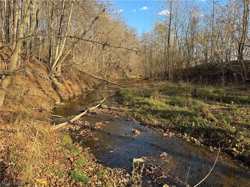 8930 CR 393, Millersburg, OH 44654 Photo 9