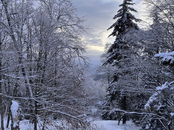 448 N Westridge Road, Snowshoe, WV 26209