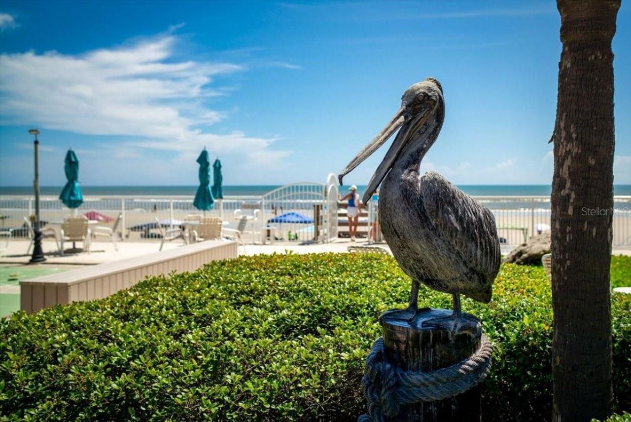 2401 S Atlantic Avenue, Unit D304, New Smyrna Beach, FL 32169 Photo