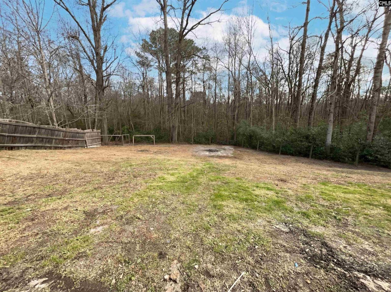 288 Wild Olive Drive Photo 9