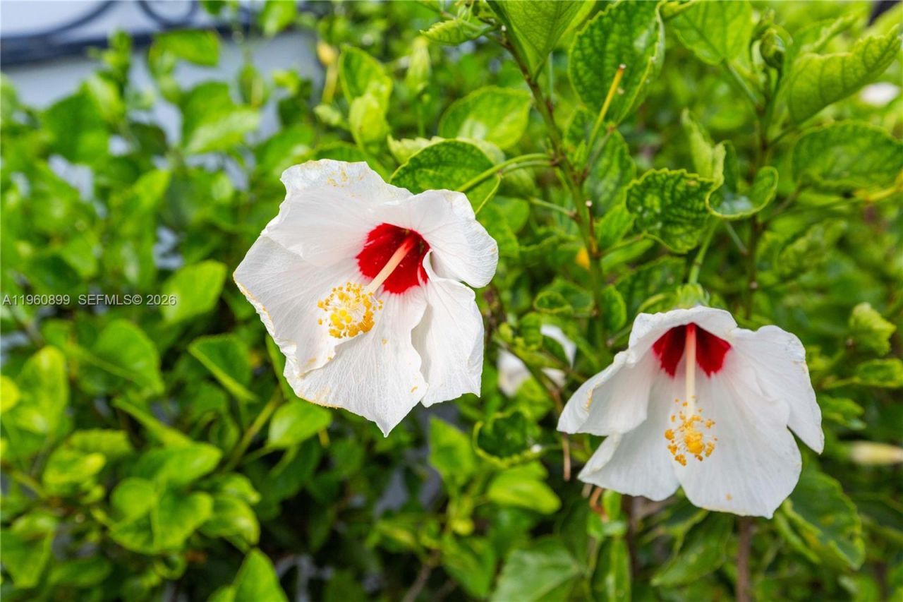 8461 SW 33rd Ter , Miami, FL 33155 Photo