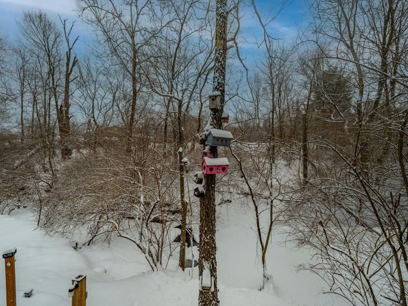 2884 Locke Drive, Beavercreek, OH 45431 Photo 65