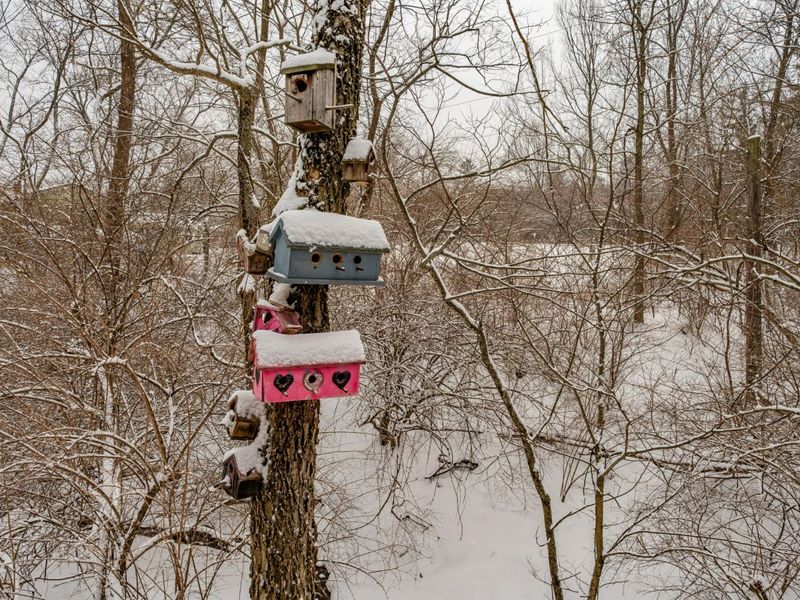 2884 Locke Drive, Beavercreek, OH 45431 Photo 66