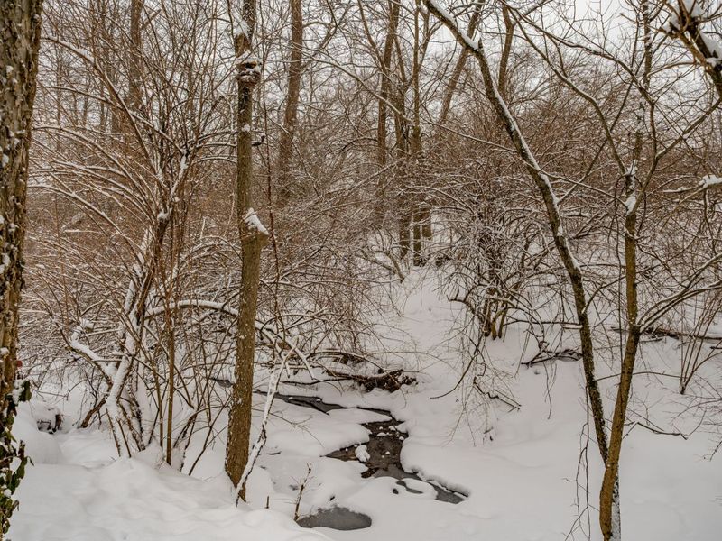 2884 Locke Drive, Beavercreek, OH 45431 Photo 68