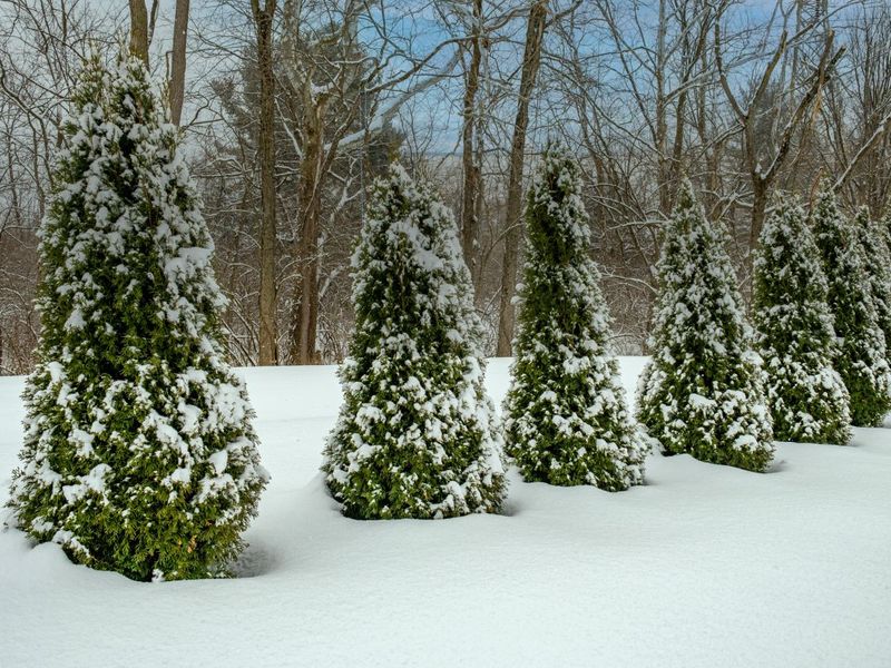 2884 Locke Drive, Beavercreek, OH 45431 Photo 70