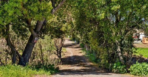14268 State Highway 160, Ryde, CA 95680 Photo