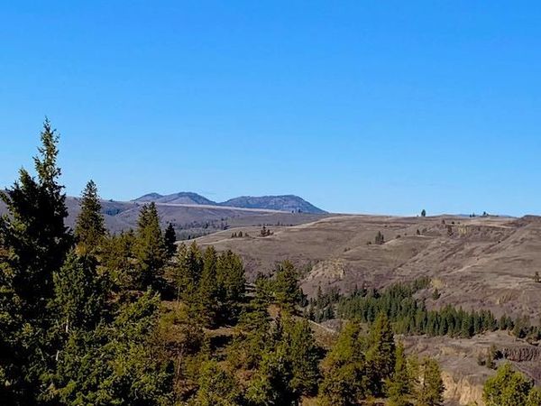 31775 Ruffed Grouse E Dr, Davenport, WA 99122