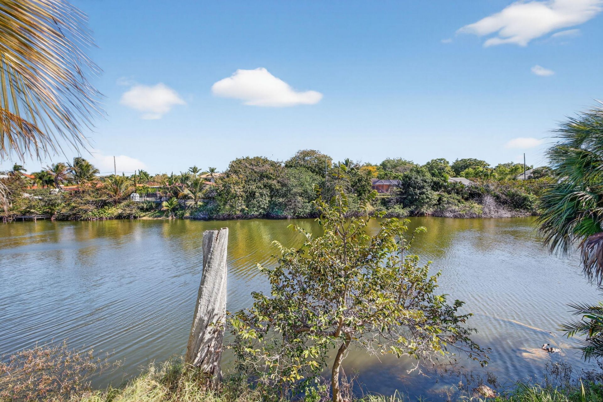 876 NW 6th Avenue, Boca Raton, FL 33432 Photo