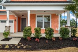 1006 Magnolia Warbler Way photo 4