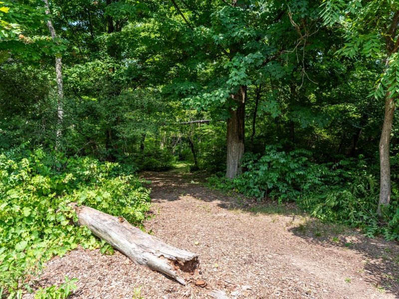 4474 Larue Prospect Road S, Prospect, OH 43342 Photo 106