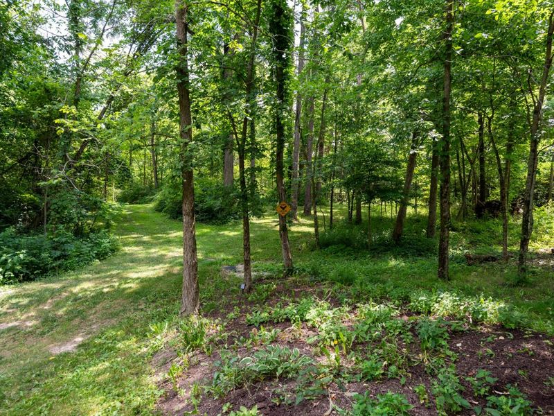 4474 Larue Prospect Road S, Prospect, OH 43342 Photo 110