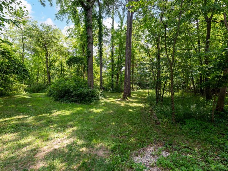 4474 Larue Prospect Road S, Prospect, OH 43342 Photo 112