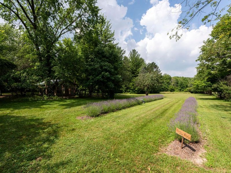 4474 Larue Prospect Road S, Prospect, OH 43342 Photo 70