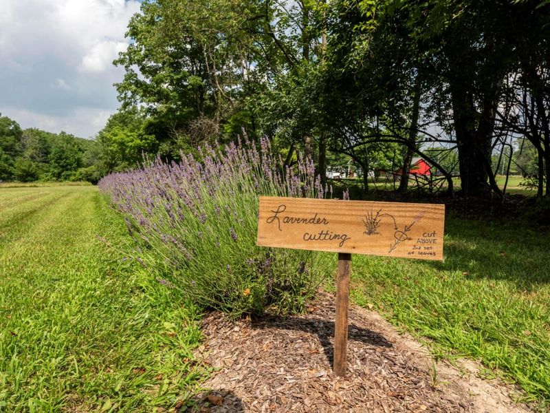 4474 Larue Prospect Road S, Prospect, OH 43342 Photo 71