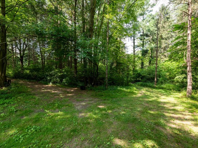 4474 Larue Prospect Road S, Prospect, OH 43342 Photo 72