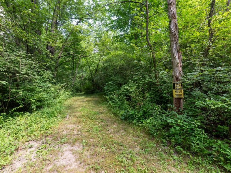 4474 Larue Prospect Road S, Prospect, OH 43342 Photo 75