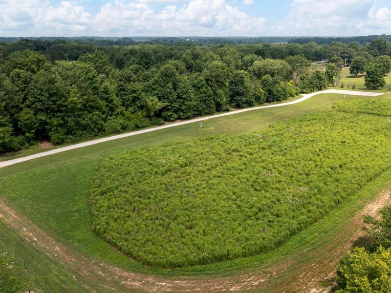 4474 Larue Prospect Road S, Prospect, OH 43342 Photo 89