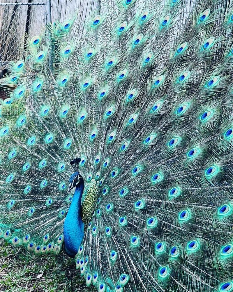 2485 Inagua Ave , Miami, FL 33133 Photo