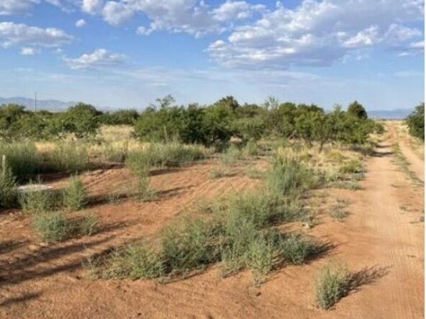 TBD High Street, Unit 9,10,11, Pearce, AZ 85625