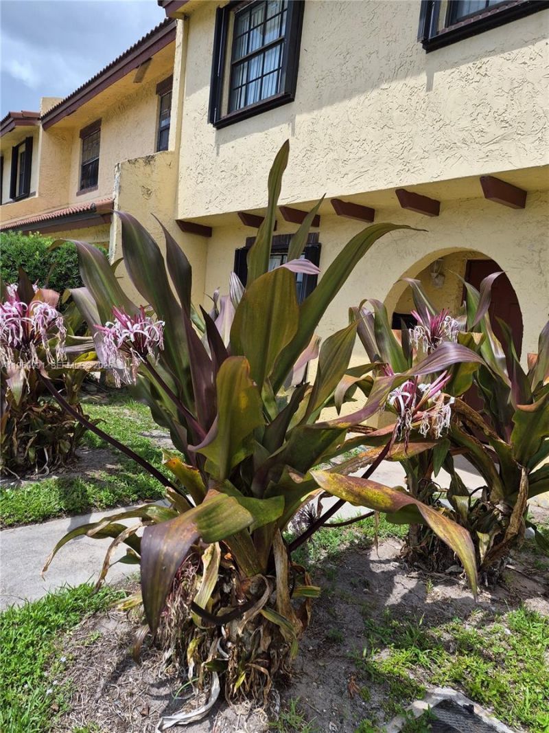 2747 NW 47th Ln, Unit 3006, Lauderdale Lakes, FL 33313 Photo