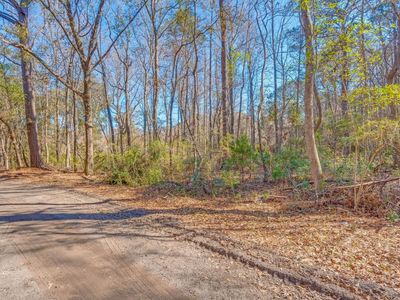 3149 Thomas Jones Road, Johns Island, SC 29455