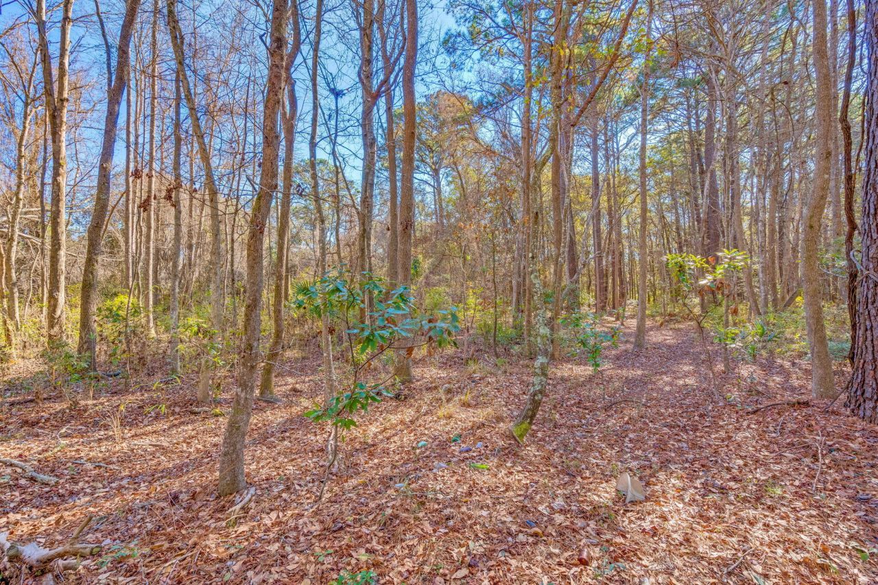 3149 Thomas Jones Road Photo 13