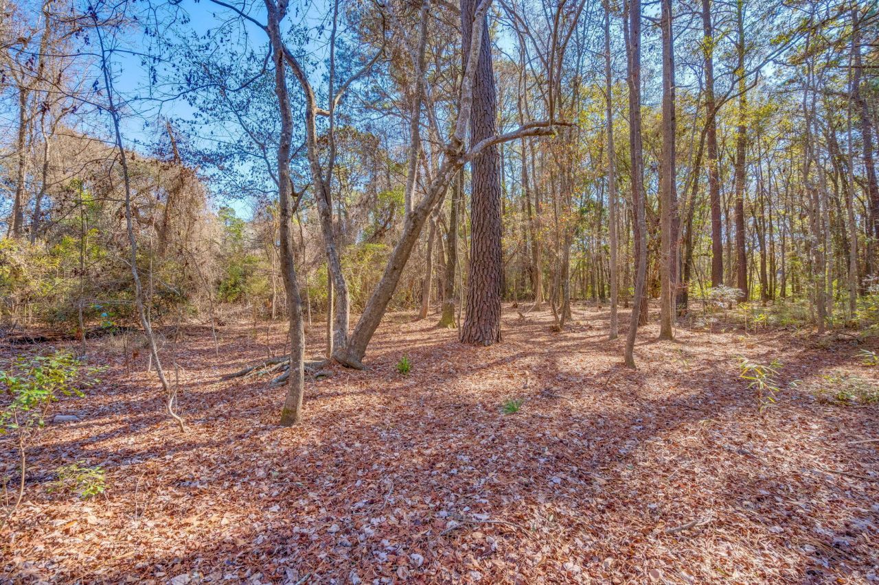 3149 Thomas Jones Road Photo 14