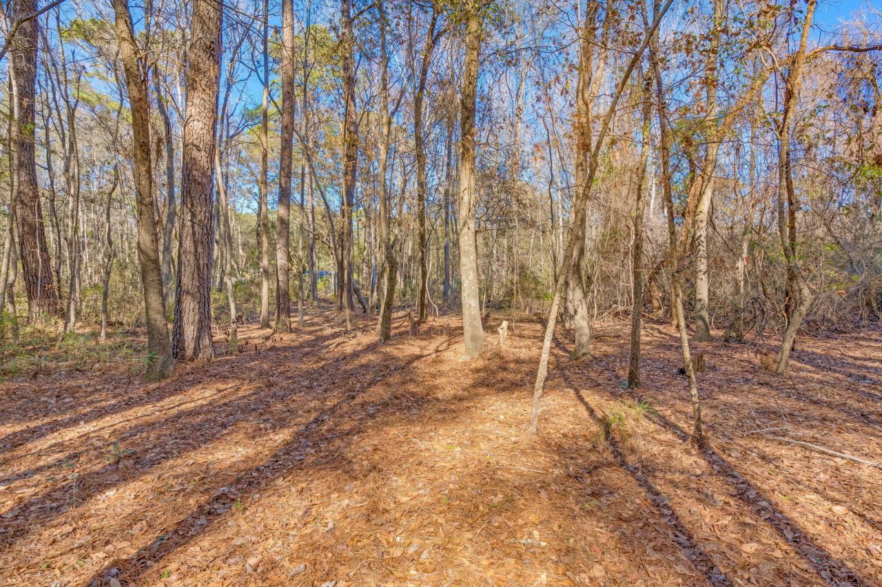 3149 Thomas Jones Road Photo 16