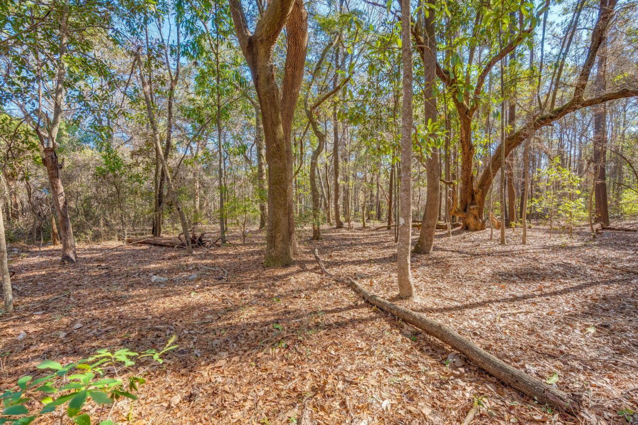 3149 Thomas Jones Road Photo 17