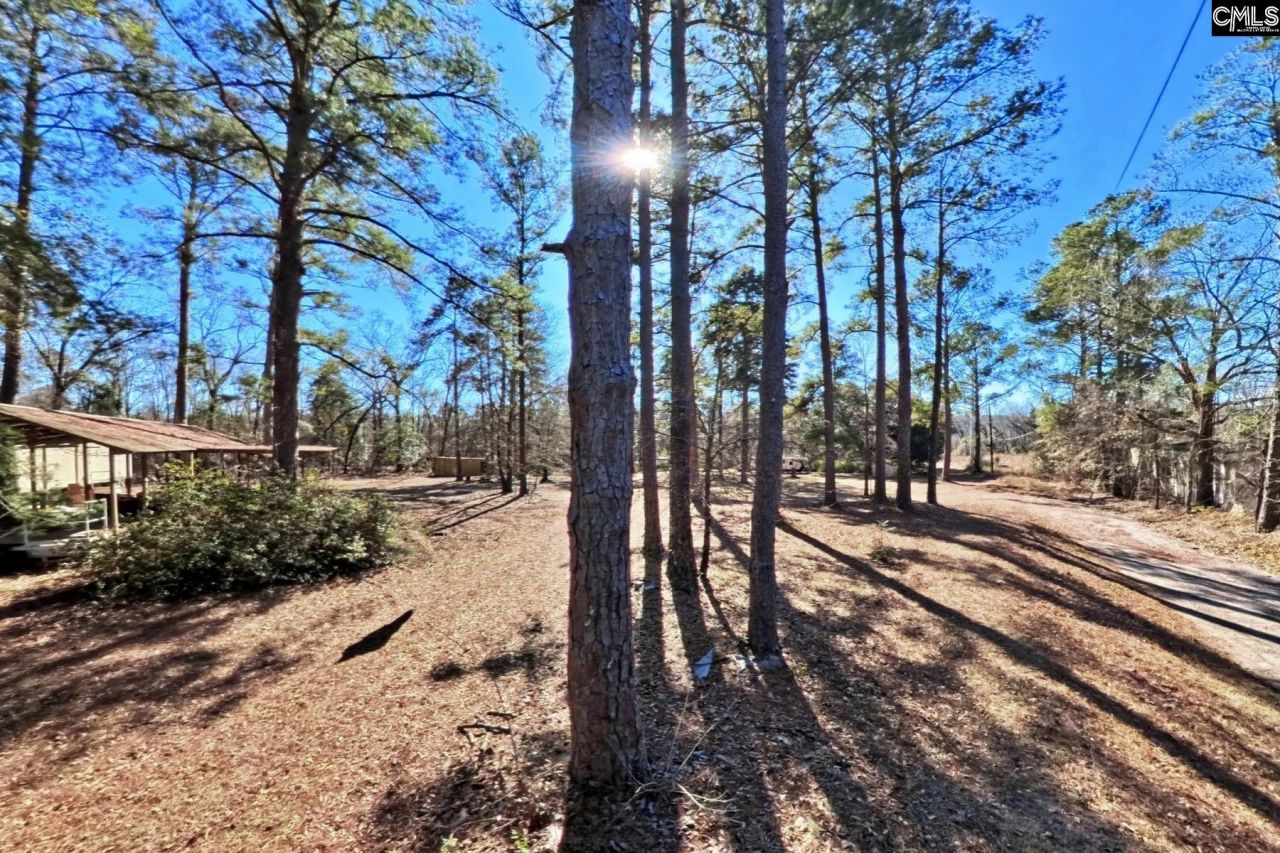 2311 Congaree Dr  Photo 35