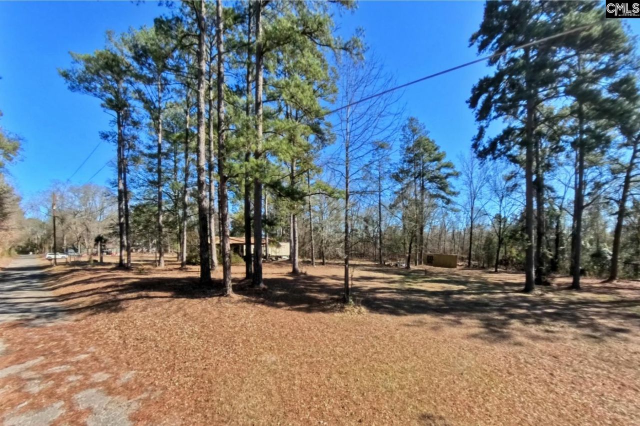 2311 Congaree Dr  Photo 37