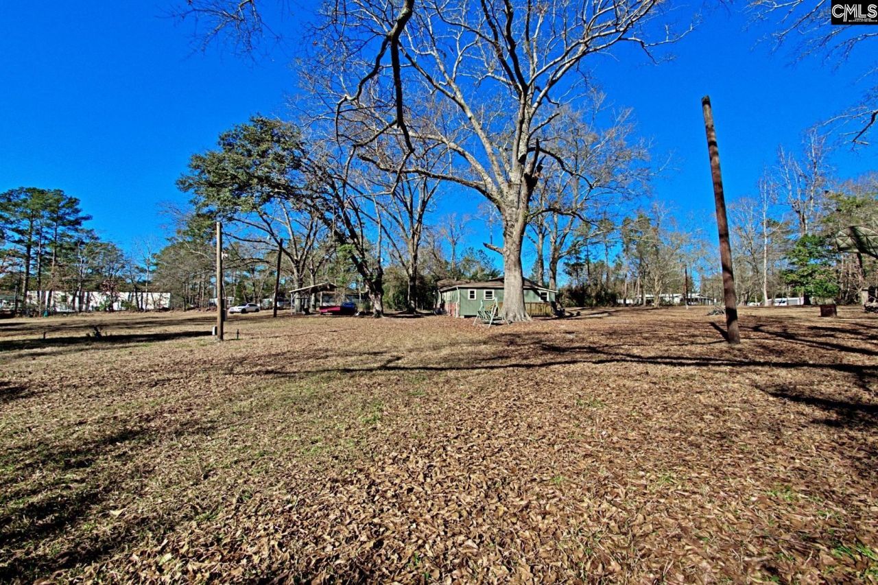 2311 Congaree Dr  Photo 38