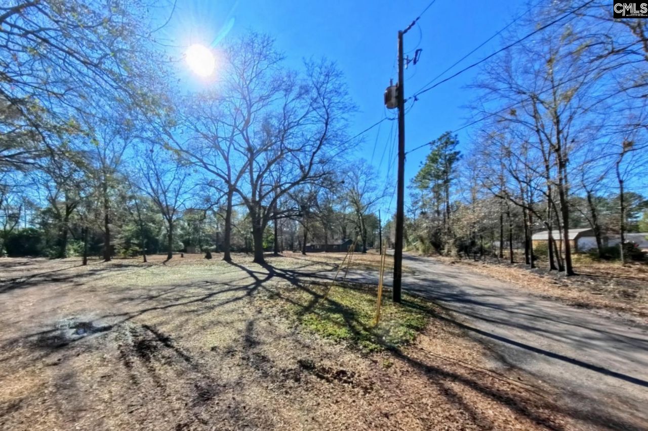 2311 Congaree Dr  Photo 39