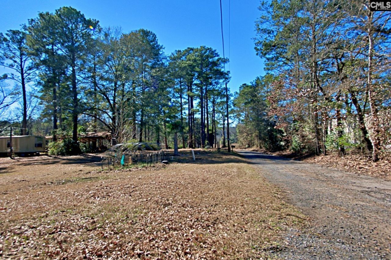 2311 Congaree Dr  Photo 40